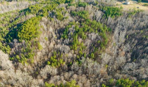 Photo #28 of SOLD property in Off Wilson Rd, Providence, NC 91.3 acres
