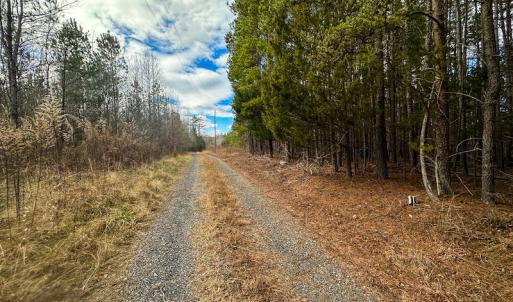Photo #29 of SOLD property in Off Wilson Rd, Providence, NC 91.3 acres