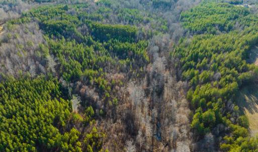 Photo #38 of SOLD property in Off Wilson Rd, Providence, NC 91.3 acres
