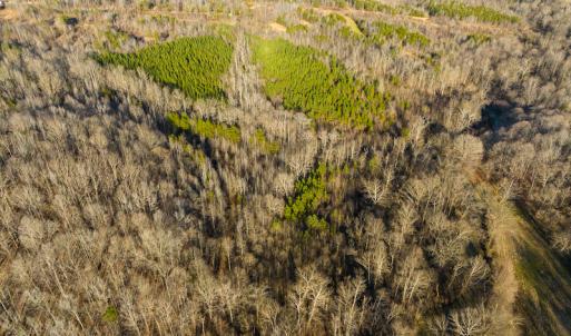 Photo #41 of SOLD property in Off Wilson Rd, Providence, NC 91.3 acres
