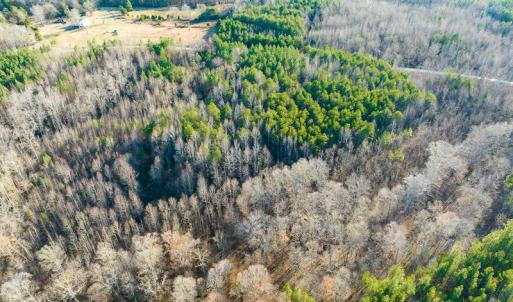 Photo #42 of SOLD property in Off Wilson Rd, Providence, NC 91.3 acres