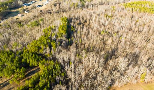 Photo #43 of SOLD property in Off Wilson Rd, Providence, NC 91.3 acres