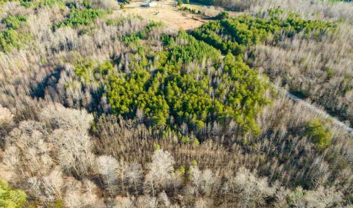 Photo #44 of SOLD property in Off Wilson Rd, Providence, NC 91.3 acres