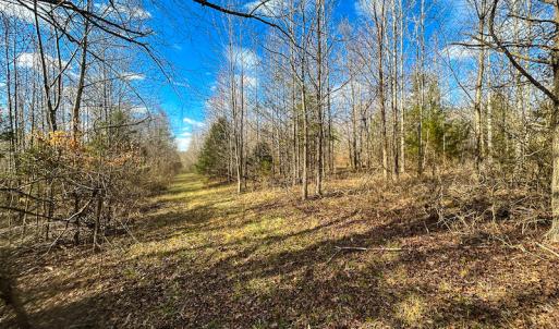 Photo #47 of SOLD property in Off Wilson Rd, Providence, NC 91.3 acres
