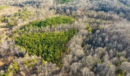 Photo #49 of SOLD property in Off Wilson Rd, Providence, NC 91.3 acres