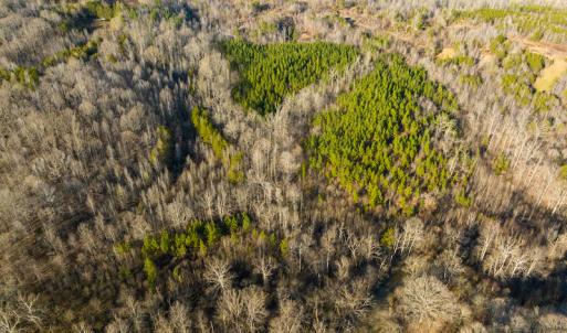 Photo #51 of SOLD property in Off Wilson Rd, Providence, NC 91.3 acres