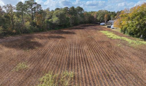 Photo #22 of SOLD property in Off Neverson Road, Sims, NC 11.2 acres