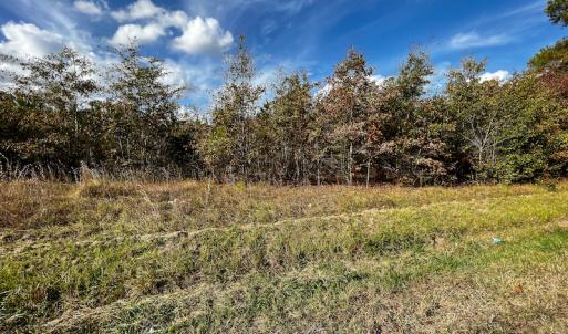 Photo #30 of SOLD property in Off Neverson Road, Sims, NC 11.2 acres
