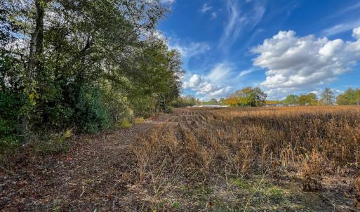 Photo #31 of SOLD property in Off Neverson Road, Sims, NC 11.2 acres