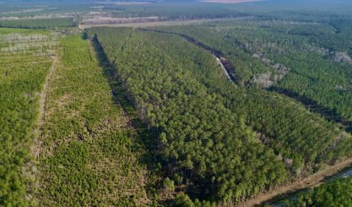 Photo #20 of SOLD property in Off Adams Creek Rd, Havelock, NC 43.1 acres