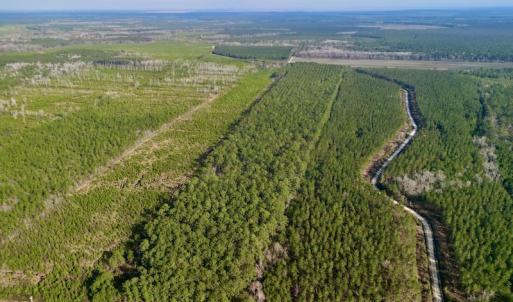 Photo #21 of SOLD property in Off Adams Creek Rd, Havelock, NC 43.1 acres