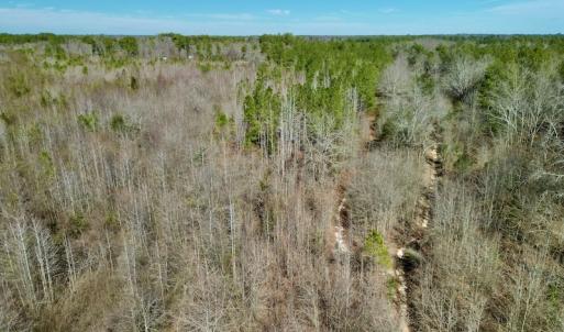 Photo #15 of SOLD property in Off Sherman Road, Maxton, NC 41.4 acres
