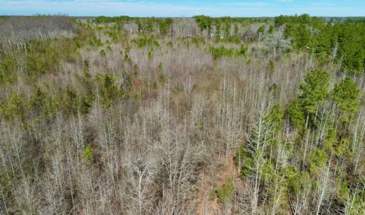 Photo #16 of SOLD property in Off Sherman Road, Maxton, NC 41.4 acres