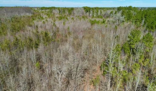 Photo #16 of SOLD property in Off Sherman Road, Maxton, NC 41.4 acres