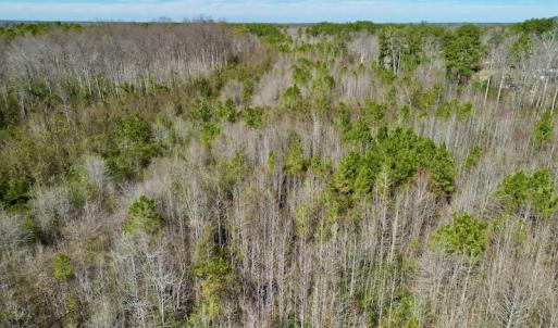 Photo #17 of SOLD property in Off Sherman Road, Maxton, NC 41.4 acres
