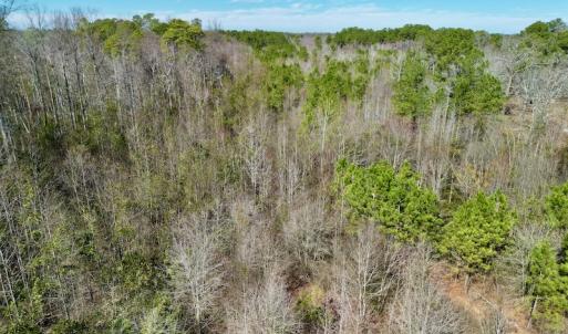 Photo #18 of SOLD property in Off Sherman Road, Maxton, NC 41.4 acres