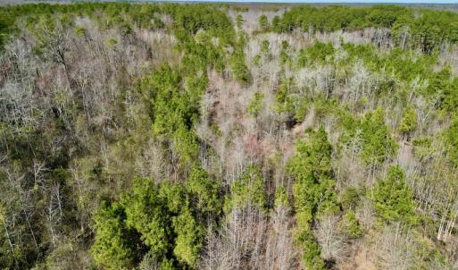 Photo #19 of SOLD property in Off Sherman Road, Maxton, NC 41.4 acres