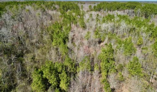 Photo #19 of SOLD property in Off Sherman Road, Maxton, NC 41.4 acres