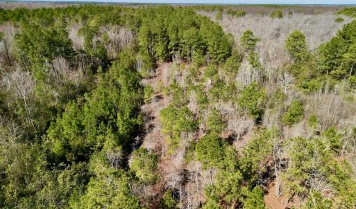 Photo #20 of SOLD property in Off Sherman Road, Maxton, NC 41.4 acres