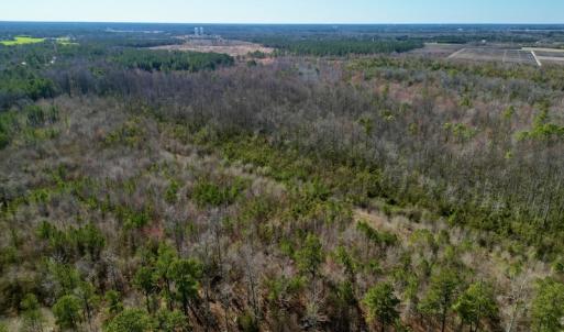 Photo #3 of SOLD property in Off Sherman Road, Maxton, NC 41.4 acres
