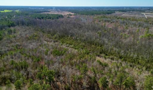 Photo #3 of SOLD property in Off Sherman Road, Maxton, NC 41.4 acres