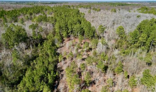 Photo #21 of SOLD property in Off Sherman Road, Maxton, NC 41.4 acres