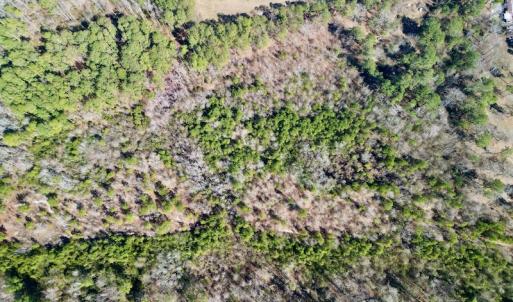 Photo #23 of SOLD property in Off Sherman Road, Maxton, NC 41.4 acres