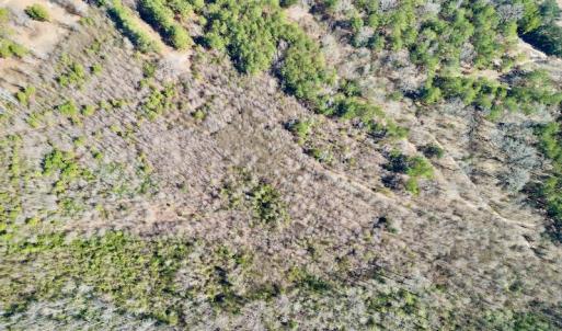 Photo #24 of SOLD property in Off Sherman Road, Maxton, NC 41.4 acres