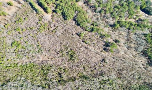 Photo #24 of SOLD property in Off Sherman Road, Maxton, NC 41.4 acres