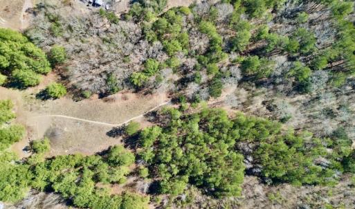 Photo #25 of SOLD property in Off Sherman Road, Maxton, NC 41.4 acres