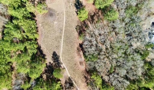 Photo #26 of SOLD property in Off Sherman Road, Maxton, NC 41.4 acres