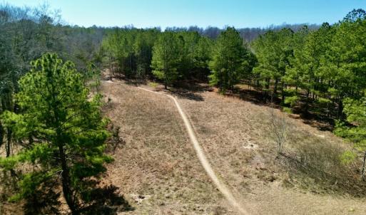 Photo #27 of SOLD property in Off Sherman Road, Maxton, NC 41.4 acres