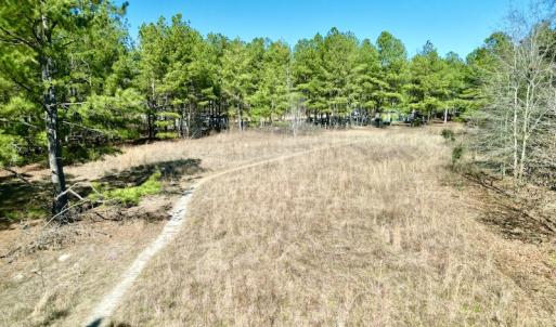 Photo #28 of SOLD property in Off Sherman Road, Maxton, NC 41.4 acres