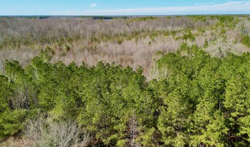 Photo #29 of SOLD property in Off Sherman Road, Maxton, NC 41.4 acres