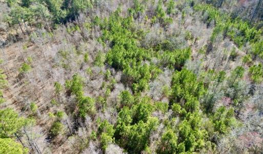 Photo #30 of SOLD property in Off Sherman Road, Maxton, NC 41.4 acres