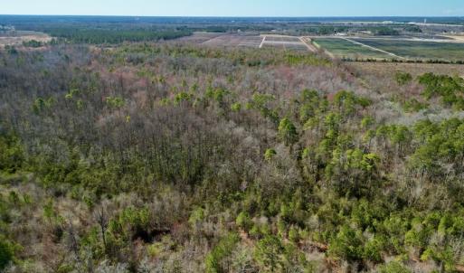 Photo #4 of SOLD property in Off Sherman Road, Maxton, NC 41.4 acres