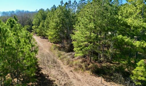 Photo #33 of SOLD property in Off Sherman Road, Maxton, NC 41.4 acres