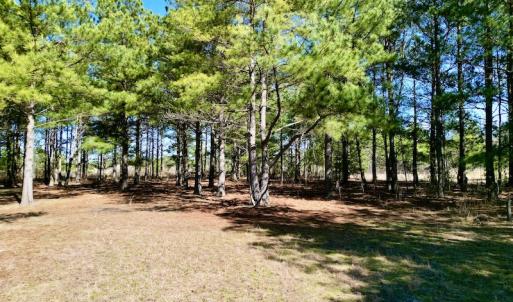 Photo #34 of SOLD property in Off Sherman Road, Maxton, NC 41.4 acres