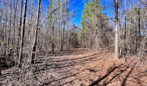Photo #35 of SOLD property in Off Sherman Road, Maxton, NC 41.4 acres