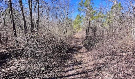 Photo #36 of SOLD property in Off Sherman Road, Maxton, NC 41.4 acres