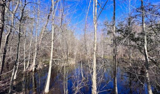 Photo #37 of SOLD property in Off Sherman Road, Maxton, NC 41.4 acres