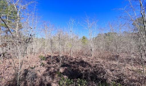Photo #39 of SOLD property in Off Sherman Road, Maxton, NC 41.4 acres