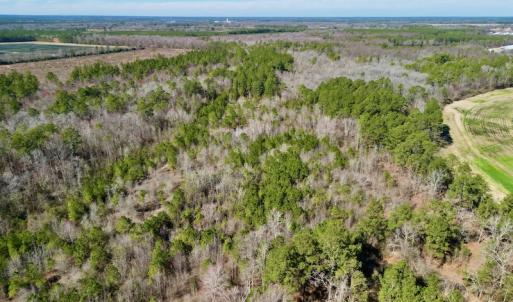 Photo #5 of SOLD property in Off Sherman Road, Maxton, NC 41.4 acres