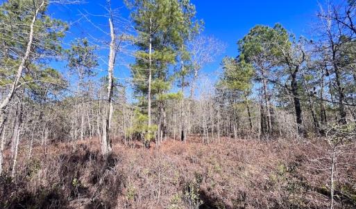 Photo #41 of SOLD property in Off Sherman Road, Maxton, NC 41.4 acres