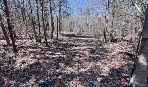 Photo #44 of SOLD property in Off Sherman Road, Maxton, NC 41.4 acres