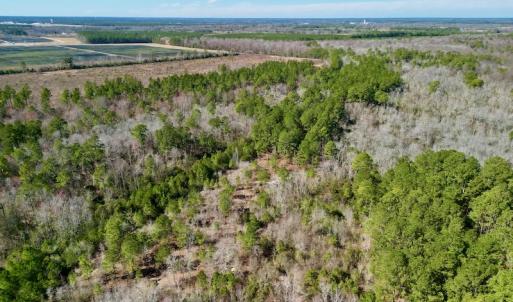 Photo #6 of SOLD property in Off Sherman Road, Maxton, NC 41.4 acres