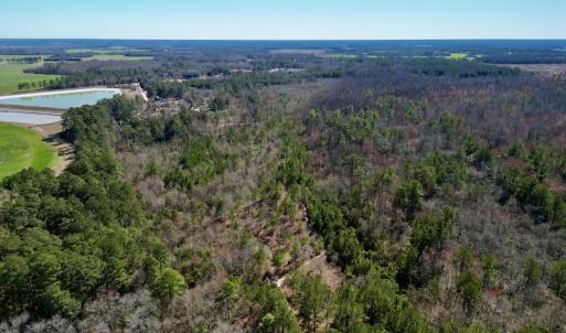 Photo #7 of SOLD property in Off Sherman Road, Maxton, NC 41.4 acres