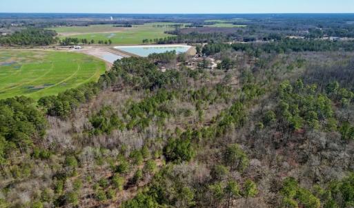 Photo #8 of SOLD property in Off Sherman Road, Maxton, NC 41.4 acres