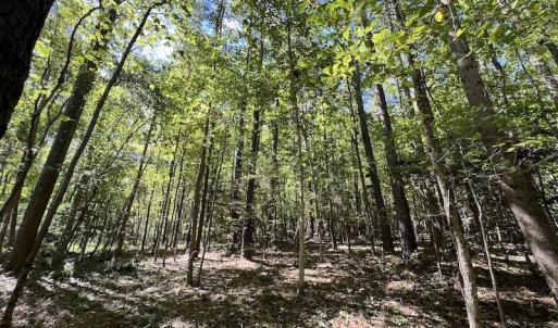 Photo #1 of SOLD property in Off Sims Bridge Road , Kittrell, NC 36.2 acres