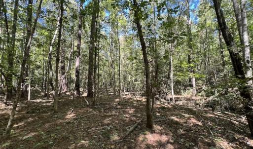 Photo #10 of Off Sims Bridge Road , Kittrell, NC 36.2 acres